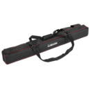 Coupe-carreaux Lean avec sac