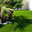 GAZON SYNTHETIQUE EXTASE 45mm ROULEAU 2M DE LARGEUR - Vendu au M2