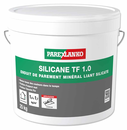 SILICANE TF 1.0 25KG PG273 Enduit parement minéral