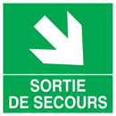 SORTIE DE SECOURS FLECHE EN BAS A DROITE SECOURS 200X200