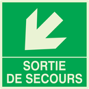 SORTIE DE SECOURS FLECHE EN BAS A GAUCHE PHOTOLUM,SECOURS 200X200