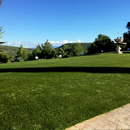 GAZON SYNTHETIQUE VERNON 45mm ROULEAU 2M DE LARGEUR - Vendu au M2