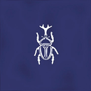 FAIENCE ROOT AGER-4 BLUE  13X13cm 0,068M2/BTE   4PC/BTE  G27