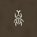 FAIENCE ROOT AGER-4 BROWN  13X13cm 0,068M2/BTE   4PC/BTE  G27