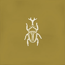 FAIENCE ROOT AGER-4 OCHER  13X13cm 0,068M2/BTE   4PC/BTE  G27