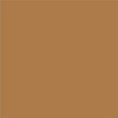 FAIENCE SATINADOS MARRON MATE  20X20cm 1M2/BTE  25PC/BTE  G104