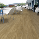 CARRELAGE ORSA-CR BEIGE  21,8X89,3cm 1,363M2/BTE   7PC/BTE  G202