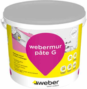 WEBERMUR PATE G 25KG GRIS