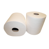 BOBINE PAPIER ESSUYAGE BLANC 800 formats de 21 x 23 cm - Paquet de 2 bobines