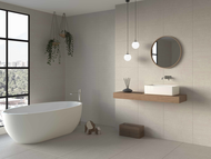 FAIENCE DAFNE NATURAL Mat 25X50cm 2M2/BTE 16PC/BTE MR110