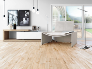 CARRELAGE MAKAI HAYA Mat 23X120cm 1,38M2/BTE 5PC/BTE MP220