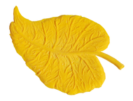 MOULE REVETEMENT DE SOL FOSIL-02 310X200MM FLEXIBLE