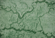 PATINE VERT MOUSSE 750ML POUR REVETEMENT MURAL