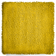 MOULE REVETEMENT DE SOL TEXTURE PIERRE DE RIO JALON 1150X1150MM