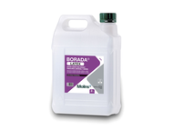 BORADA LATEX 2 BIDON DE 2L