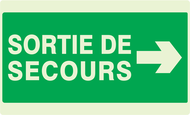 SORTIE DE SECOURS FLECHE A DROITE LUMINE PHOTOLUM,SECOURS 330X200