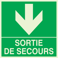 SORTIE DE SECOURS EN BAS LUMINESCENT 200 PHOTOLUM,SECOURS 200X200