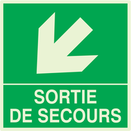 SORTIE DE SECOURS FLECHE EN BAS A GAUCHE PHOTOLUM,SECOURS 200X200