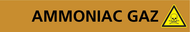 AMMONIAC GAZ 312x52mm (10 ADHESIFS POUR