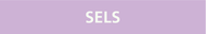 SELS 312x52mm (10 ADHESIFS POUR TUYAUTER