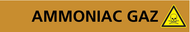 AMMONIAC GAZ 222x37mm (20 ADHESIFS POUR