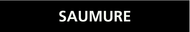 SAUMURE 222x37mm (20 ADHESIFS POUR TUYAU MARQUEUR EAU 222X37