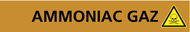 AMMONIAC GAZ 156x26mm (20 ADHESIFS POUR MARQUEUR GAZ 156X26