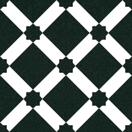 CARRELAGE 1900 PALAU GRAFITO  20X20cm 1M2/BTE  25PC/BTE  G227