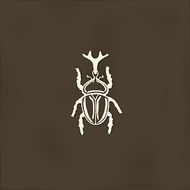 FAIENCE ROOT AGER-4 BROWN  13X13cm 0,068M2/BTE   4PC/BTE  G27