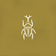 FAIENCE ROOT AGER-4 OCHER  13X13cm 0,068M2/BTE   4PC/BTE  G27