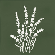 FAIENCE ROOT ARVUM-4 GREEN  13X13cm 0,068M2/BTE   4PC/BTE  G27